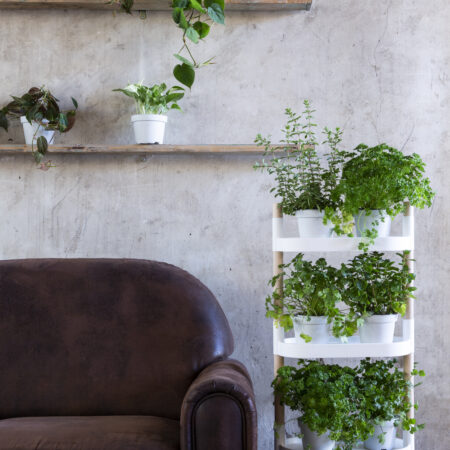 CitySens Modular Plant Shelf – White 4-Tray Indoor Vertical Gardening Shelf - Image 10