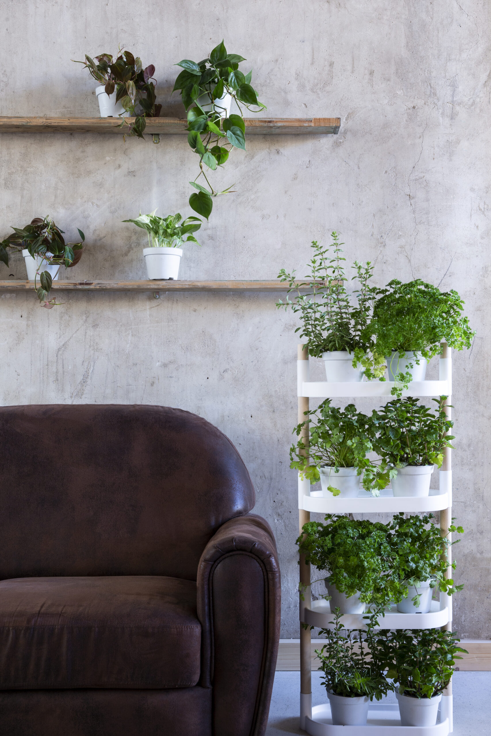 CitySens Modular Plant Shelf – White 4-Tray Indoor Vertical Gardening Shelf - Image 10