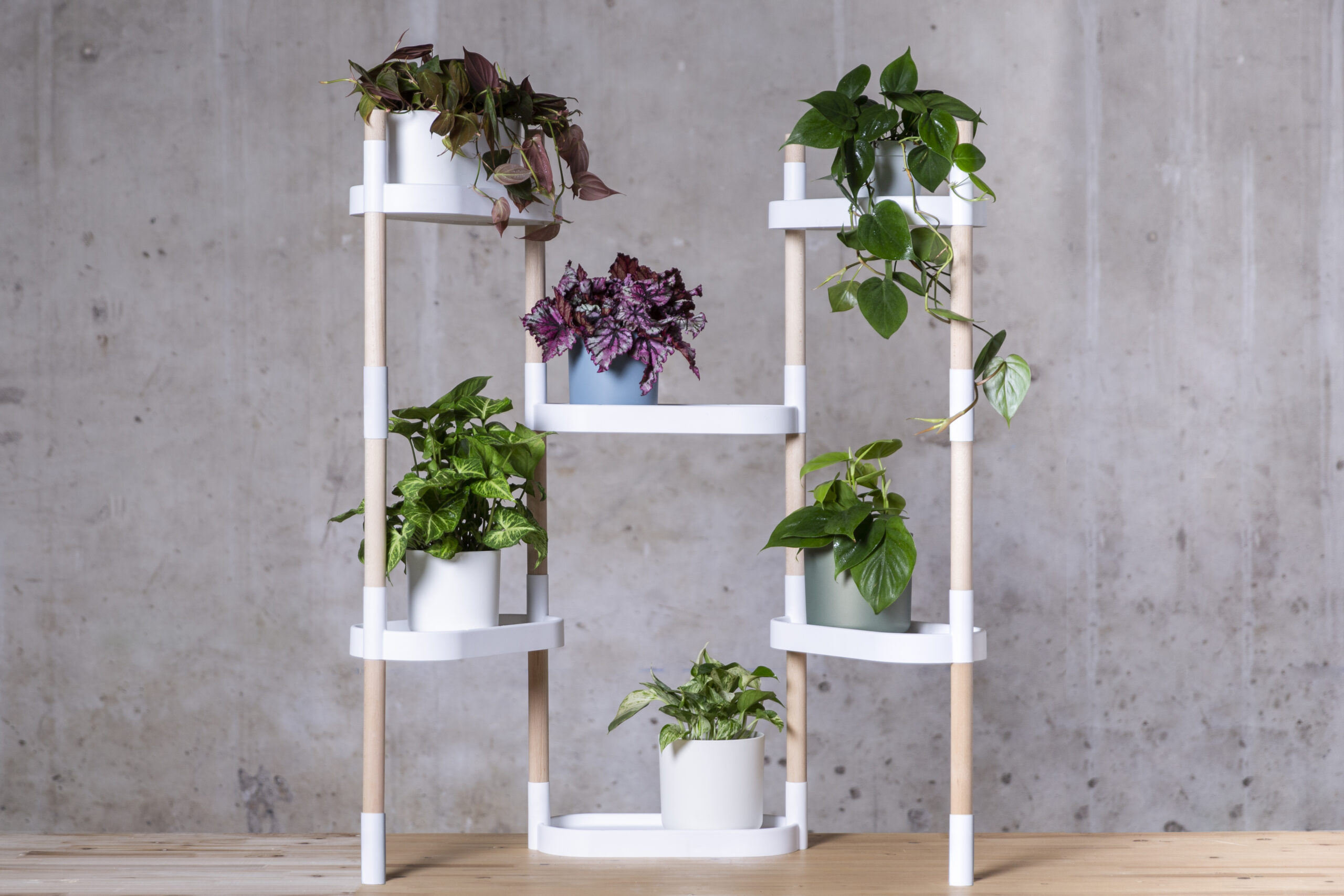 CitySens Modular Plant Shelf – White 6-Tray Indoor Vertical Gardening Shelf - Image 5