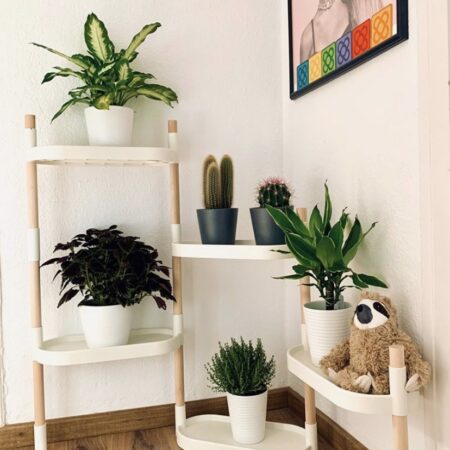 CitySens Modular Plant Shelf – White 6-Tray Indoor Vertical Gardening Shelf - Image 7