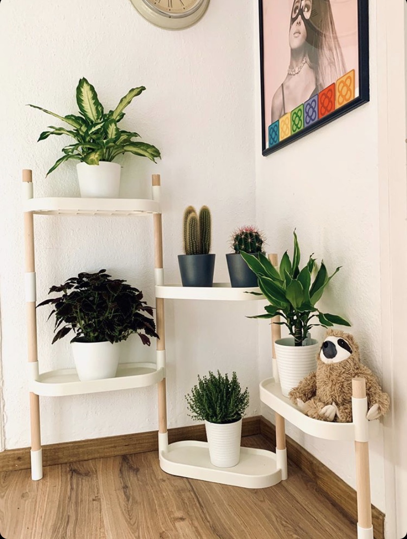 CitySens Modular Plant Shelf – White 6-Tray Indoor Vertical Gardening Shelf - Image 7