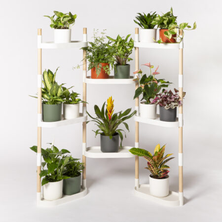 CitySens Modular Plant Shelf – White 8-Tray Indoor Vertical Gardening Shelf - Image 2