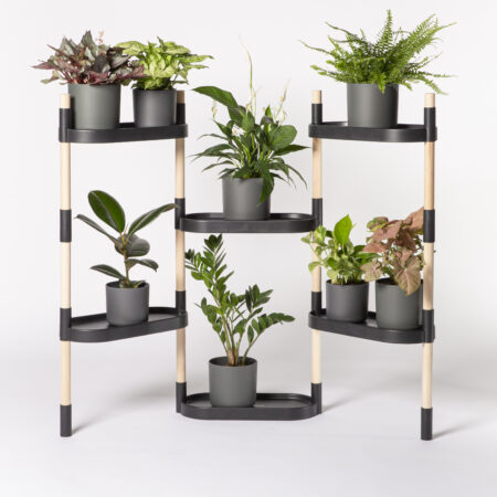 CitySens Modular Plant Shelf – Black 6-Tray Indoor Vertical Gardening Shelf - Image 2