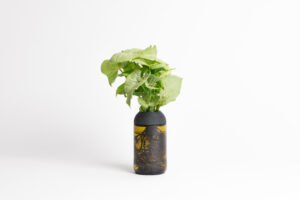 CitySens Transparent Planter with Ebony Support – Amber Base Hydroponic Indoor Glass Planter with 3D Printed Wooden Stand