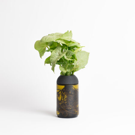 CitySens Transparent Planter with Ebony Support – Amber Base Hydroponic Indoor Glass Planter with 3D Printed Wooden Stand