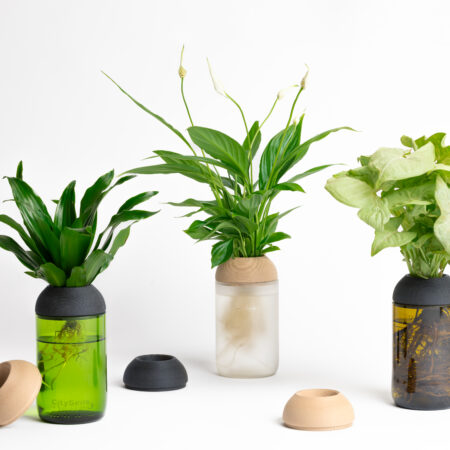 CitySens Transparent Planter with Pine Support – Green Base Hydroponic Indoor Glass Planter with 3D Printed Wooden Stand - Image 4