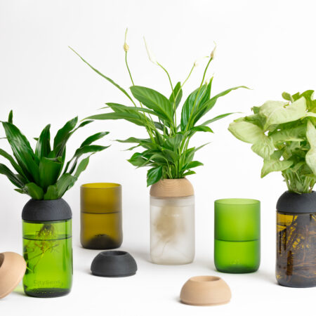 CitySens Transparent Planter with Pine Support – Green Base Hydroponic Indoor Glass Planter with 3D Printed Wooden Stand - Image 5