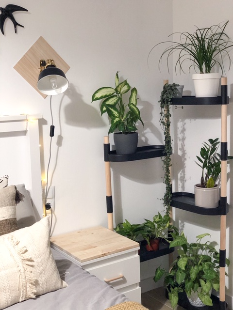 CitySens Modular Plant Shelf – Black 4-Tray Indoor Vertical Gardening Shelf