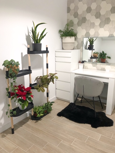 CitySens Modular Plant Shelf – Black 4-Tray Indoor Vertical Gardening Shelf