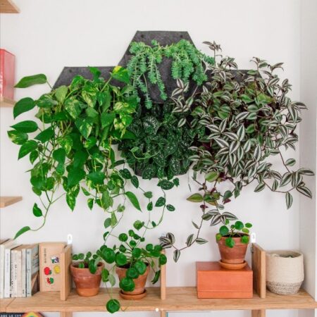 CitySens 3-Pack Wall Planters with Textile Covers – Black Vertical Wall Planter Set with Recycled Covers - Image 11