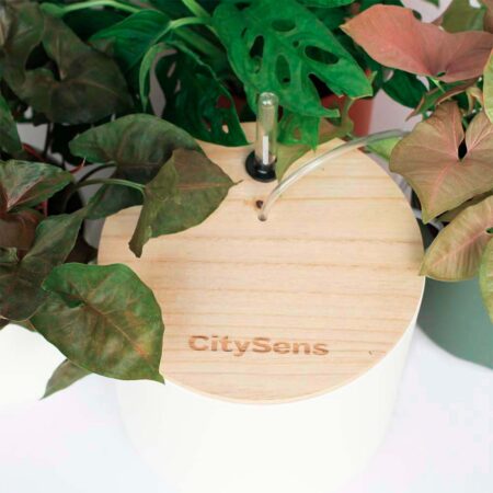 CitySens Smart Drip Irrigation System with WiFi App Control – White 7L Reservoir and 12 Drippers - Image 6