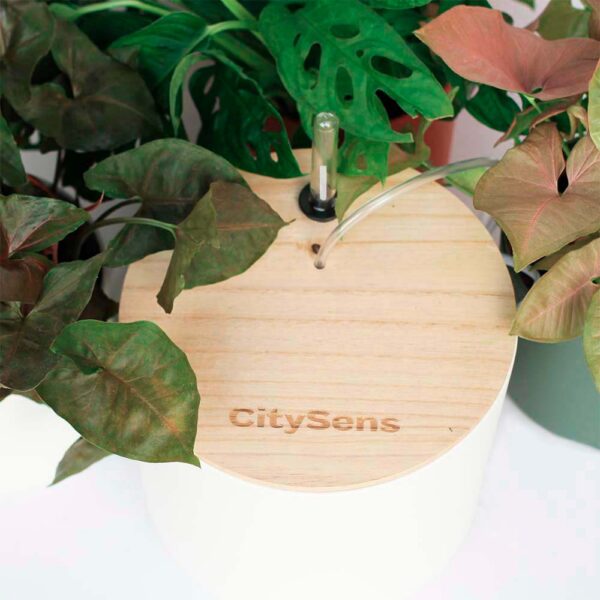 CitySens Smart Drip Irrigation System with WiFi App Control – White 7L Reservoir and 12 Drippers