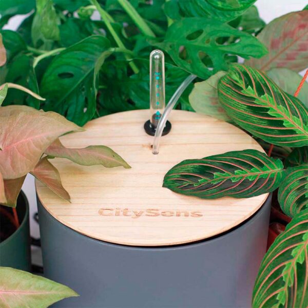 CitySens Smart Drip Irrigation System with WiFi App Control – Anthracite 7L Reservoir and 12 Drippers