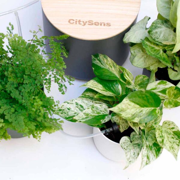 CitySens Smart Drip Irrigation System with WiFi App Control – Anthracite 7L Reservoir and 12 Drippers