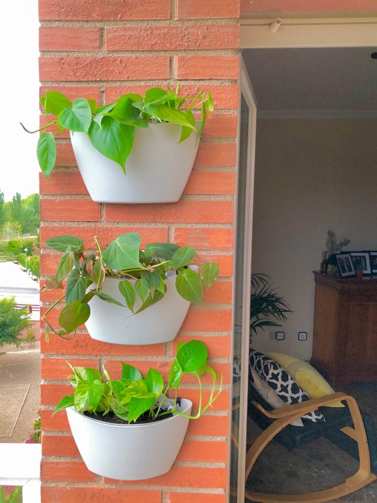 CitySens 3-Pack Wall Planters – Gray Vertical Wall Planter Set for Indoor and Outdoor Plants - Image 9