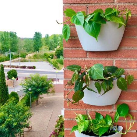 CitySens 3-Pack Wall Planters with Capillary Self-Watering – Gray Vertical Wall Planter Set - Image 10