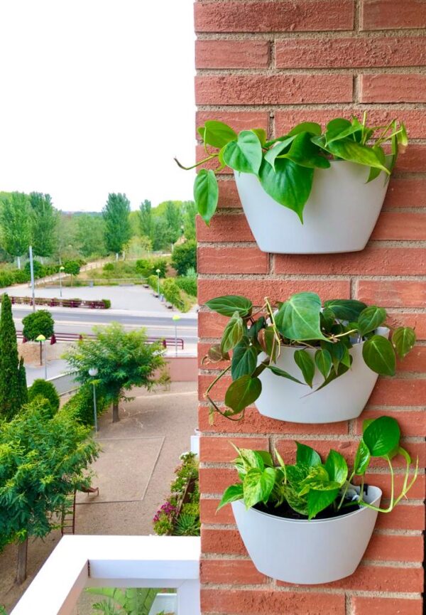 CitySens 3-Pack Wall Planters with Capillary Self-Watering – Gray Vertical Wall Planter Set