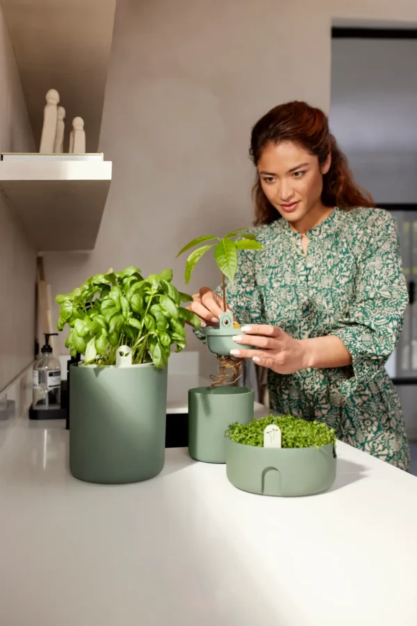 ELHO Amazing Avocado Pot – Leaf Green (1 L) – Indoor Avocado Growing Pot