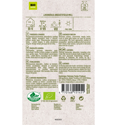 Organic English lavender seeds – perennial culinary and ornamental herb - Image 2