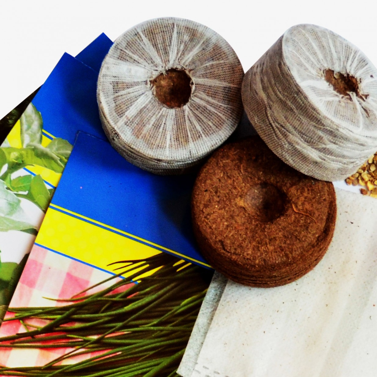 CitySens Indoor Urban Garden with Seeds – White 3 Pots with Wi-Fi Smart Watering Kit - Image 2