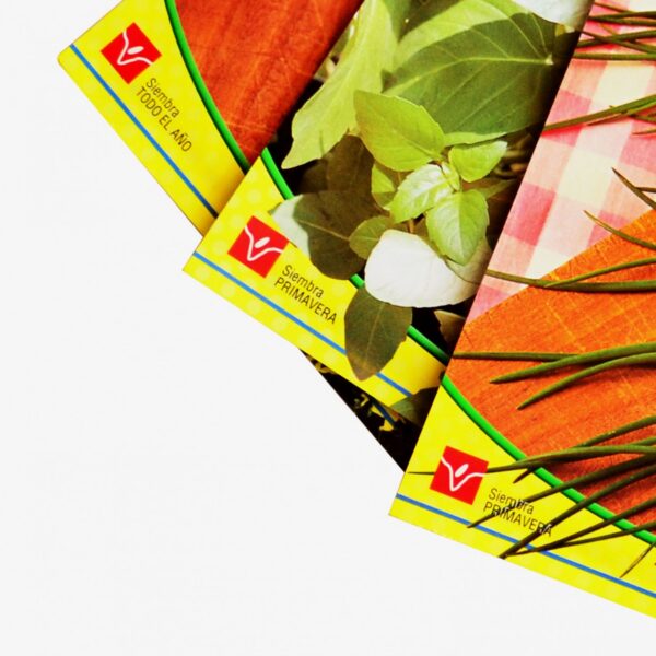 CitySens Indoor Urban Garden with Seeds – Black 3 Pots with Wi-Fi Smart Watering Kit