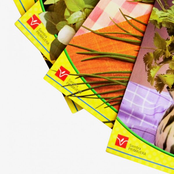 CitySens Indoor Urban Garden with Seeds – Black 4 Pots with Wi-Fi Smart Watering Kit