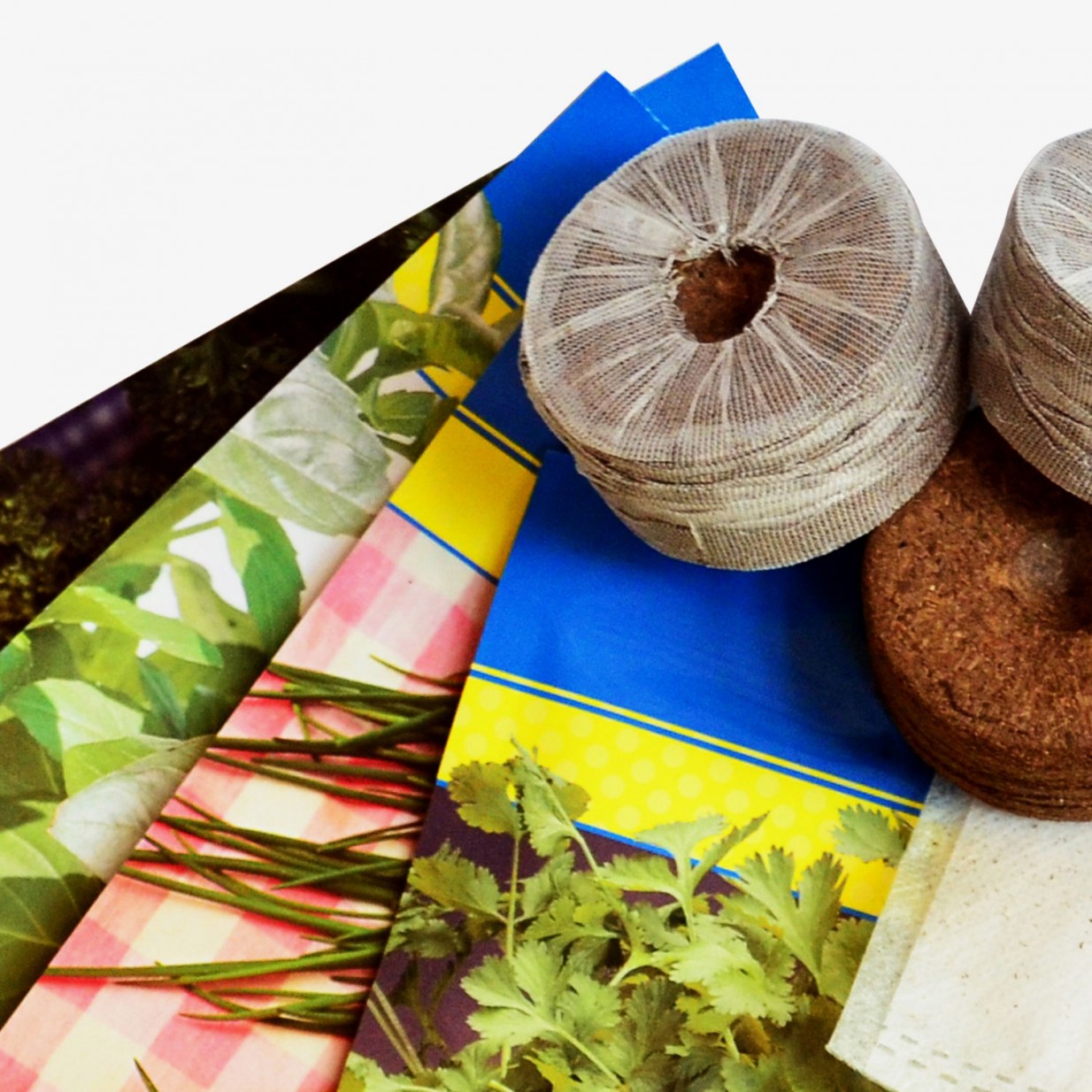 CitySens Indoor Urban Garden with Seeds – White 4 Pots with Digital Watering Kit - Image 10