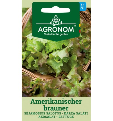 Lettuce amerikanischer brauner – medium early leaf lettuce 50-60 days