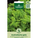 Salāti „Australische Gele" — vidēji agra ātri augoša lapu salātu šķirne