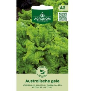 Lehtsalat ‘Australische Gele’ – keskvalmiv kiirelt kasvav 50–60 päeva