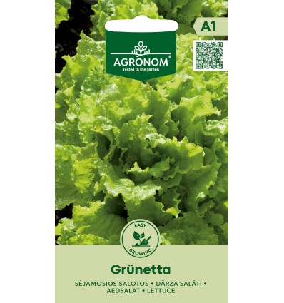 Lettuce grünetta – early loose leaf lettuce variety for spring to autumn harvest