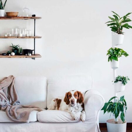 CitySens Vertical Planter – White 4 Pots Manual Watering (Nutrients Included) - Image 6