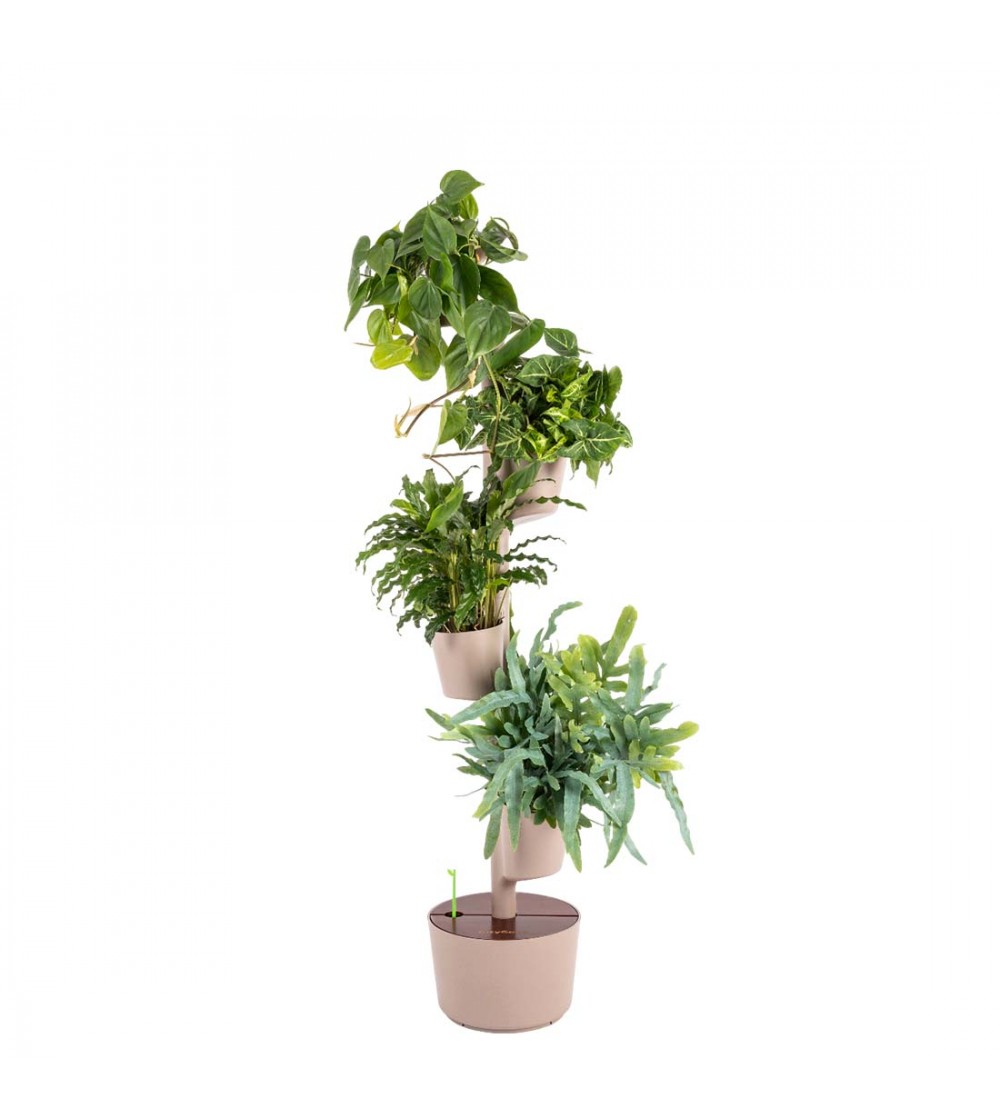 CitySens Vertical Planter – Pine Bark 4 Pots Manual Watering with Teak Wood Details - Image 2