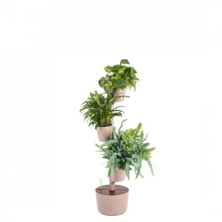 CitySens Vertical Planter – Pine Bark 3 Pots Manual Watering with Teak Wood Details - Image 2