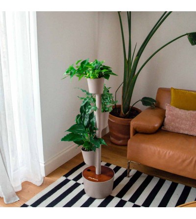 CitySens Vertical Planter – Pine Bark 3 Pots Manual Watering with Teak Wood Details - Image 3