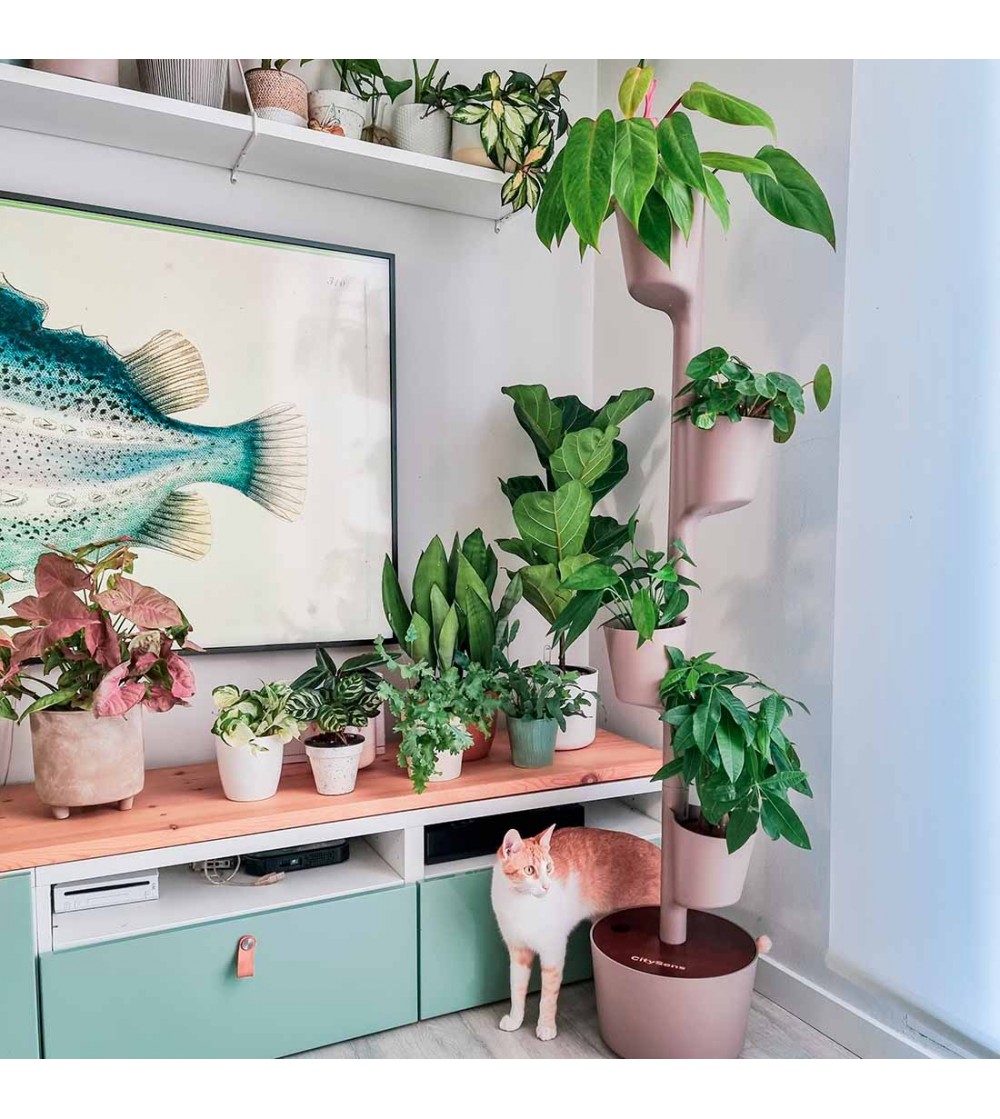 CitySens Vertical Planter – Pine Bark 4 Pots Manual Watering with Teak Wood Details - Image 4