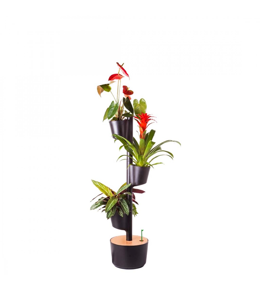 CitySens Vertical Planter – Black 3 Pots Manual Watering - Image 2