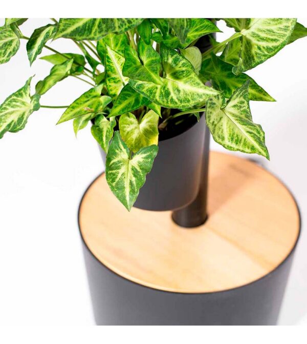 CitySens Vertical Planter – Black 4 Pots Manual Watering