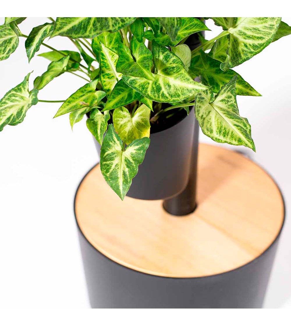 CitySens Vertical Planter – Black 4 Pots Manual Watering - Image 6
