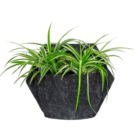 CitySens Hexagonal Textile Cover – Gray Recycled Felt Cover for CitySens Wall Planter - Image 4