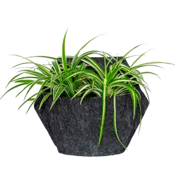 CitySens Hexagonal Textile Cover – Gray Recycled Felt Cover for CitySens Wall Planter