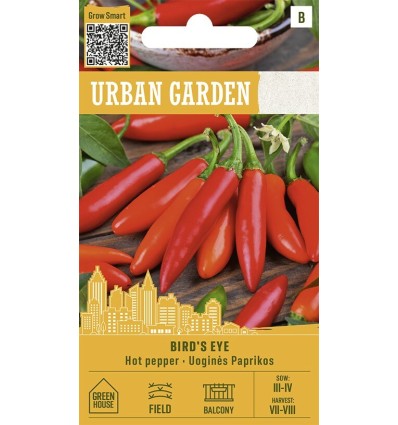 Pepper hot birds eye – compact very pungent chilli pepper variety