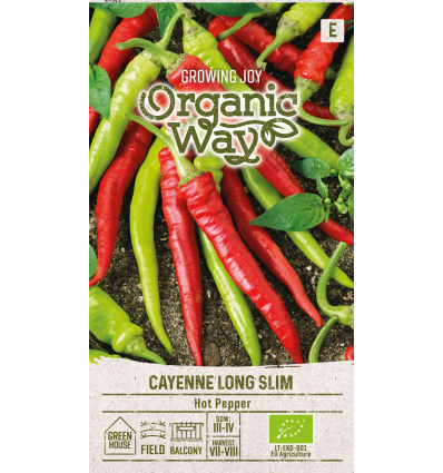 Organic Pepper hot cayenne long slim – early spicy chilli 30000-50000 shu