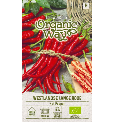 Organic Pepper hot westlandse lange rode – early spicy variety 1000-1500 shu