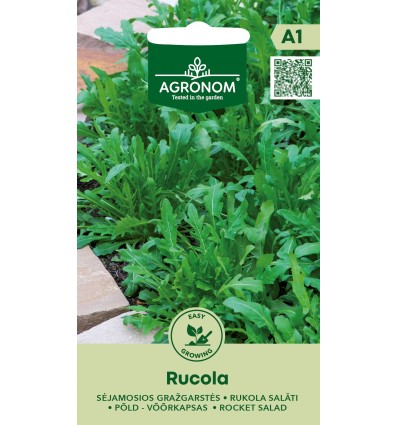 Rocket salad rucola – fast growing leafy vegetable with nutty flavour