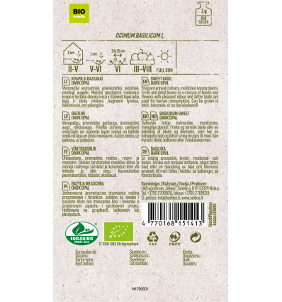 Organic sweet basil dark opal seeds – fragrant annual culinary and medicinal plant - Image 2