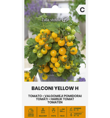 Tomato balconi yellow h – determinate balcony cherry tomato hybrid