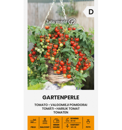 Tomato gartenperle – high yielding ornamental cherry tomato variety