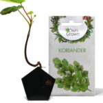 OriBon Black Collection – Origami Plant Pot with Herb Seeds Included