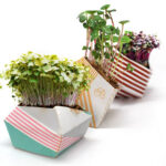 OriBon Classic Collection – 3 Origami Plant Pots with BIO Microgreen Seeds Included
